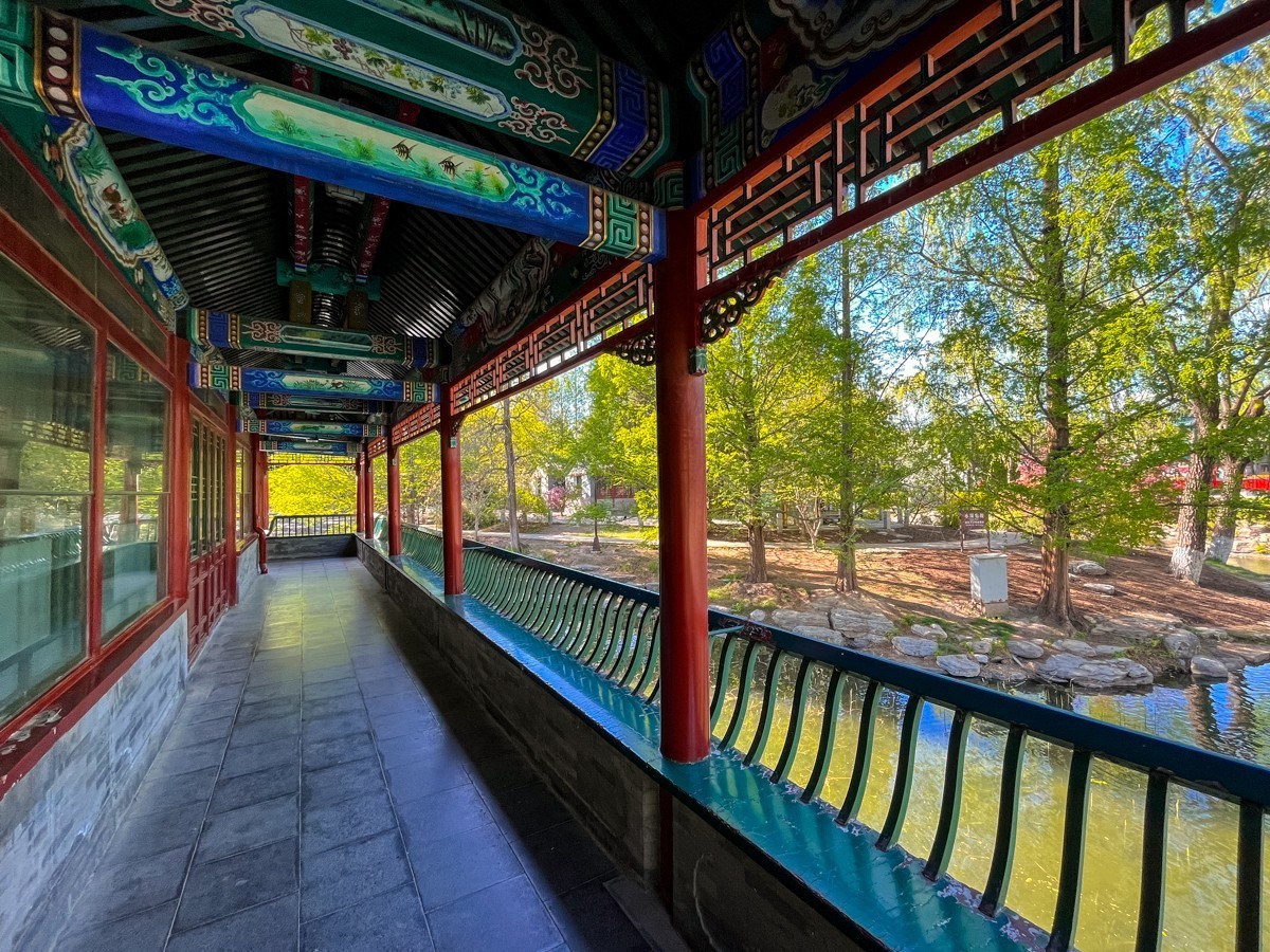 2023年第0245贴-中山公园纪实抓拍（0412F）