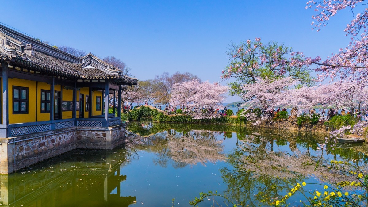 2023年春------无锡鼋头渚春色（四）