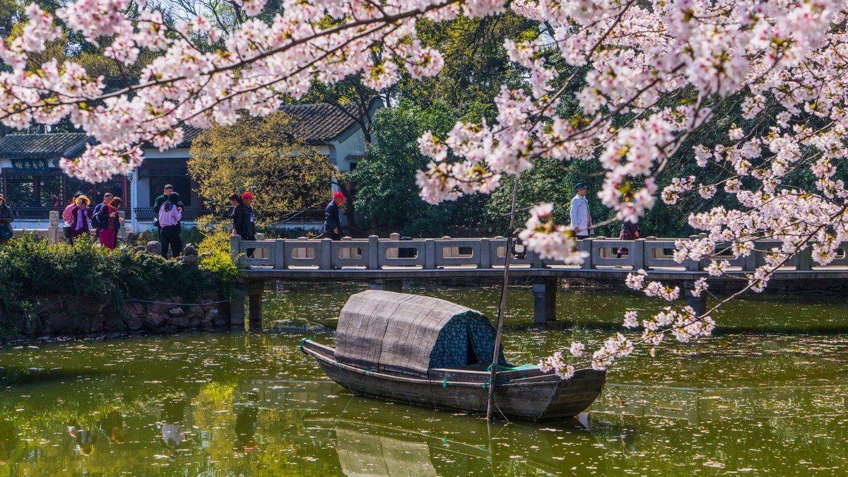 2023年春------无锡鼋头渚春色（四）