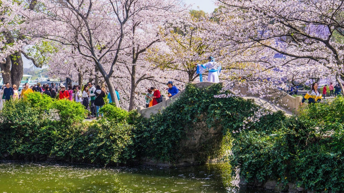 2023年春------无锡鼋头渚春色（四）