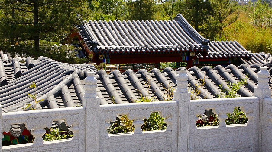 《不老松：纪实摄影》大美沧州系列報道：沧州园博园中的张家口园！ (3)