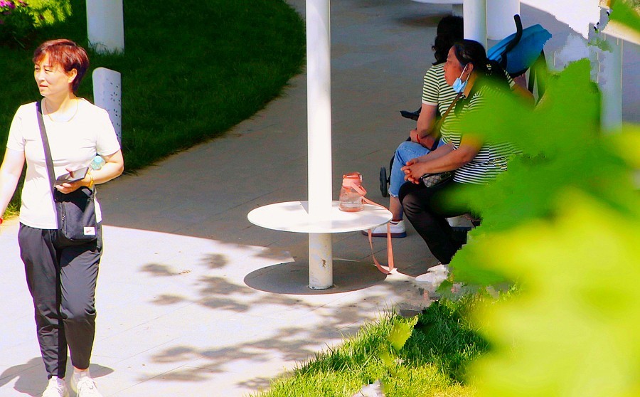 《不老松：纪实摄影》大美沧州系列報道：沧州园博园中的张家口园！ (3)