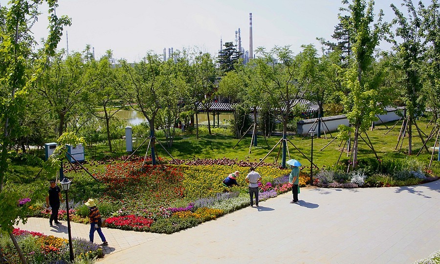 《不老松：纪实摄影》大美沧州系列報道：沧州园博园中的张家口园！ (3)