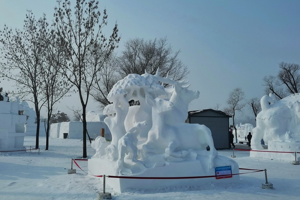 逰太阳岛雪博会---大年初一      7/8