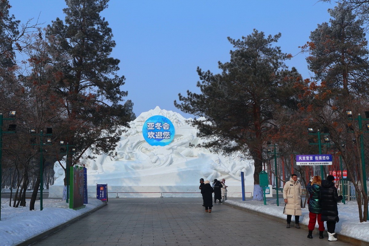 逰太阳岛雪博会---大年初一      7/8