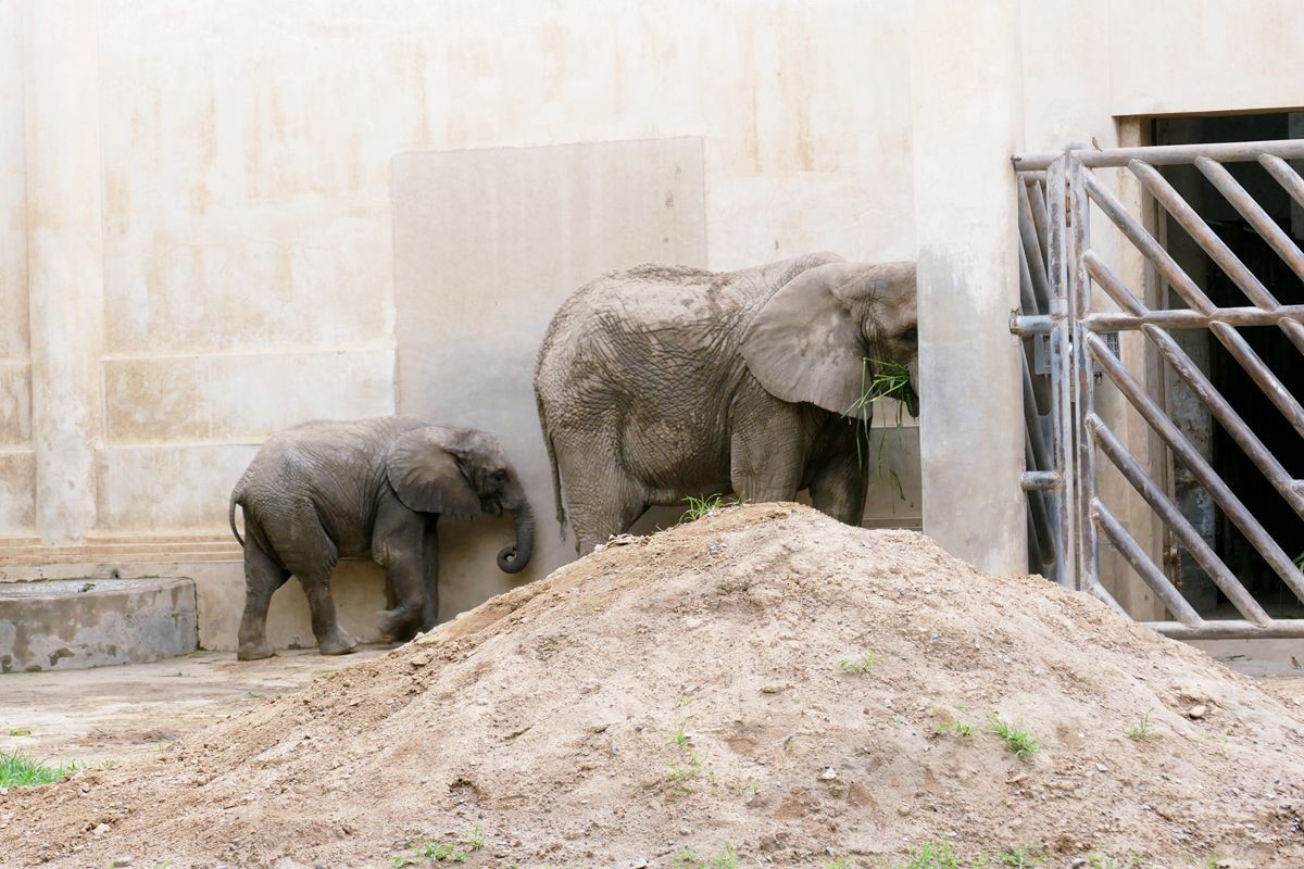 动 物 园【八】
