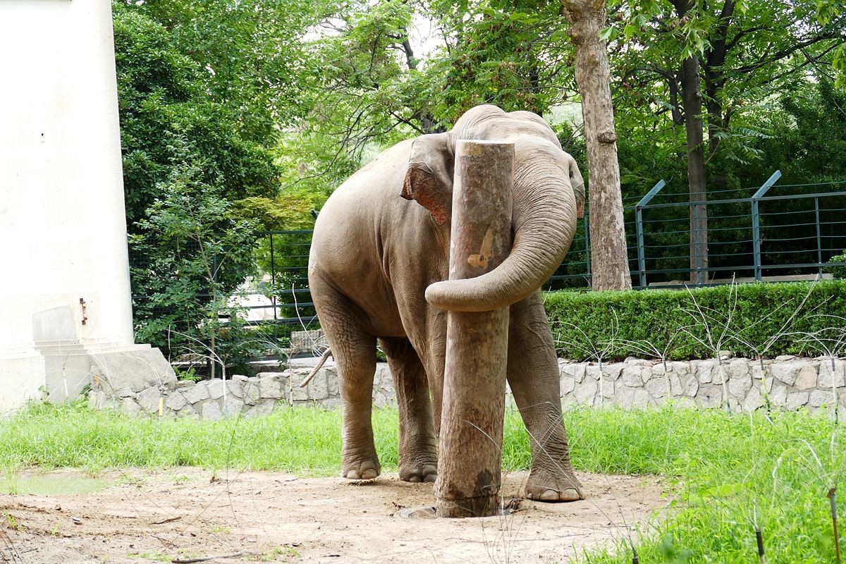 动 物 园【八】