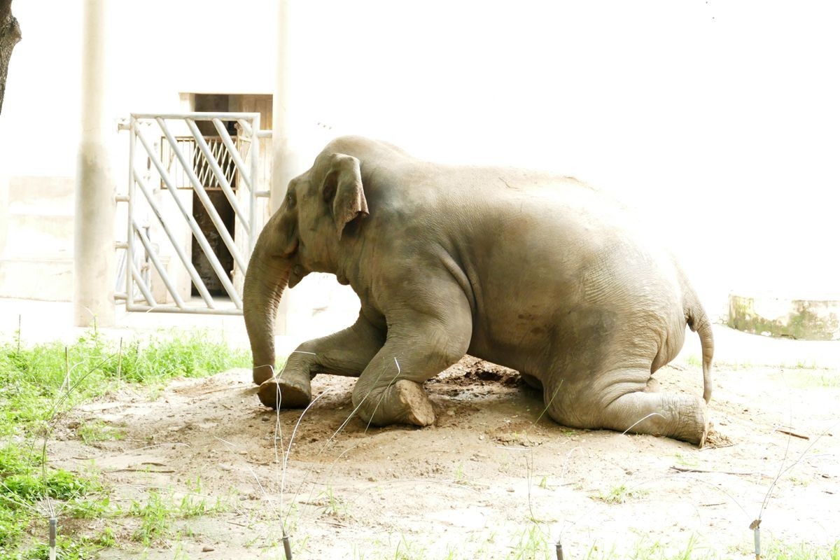 动 物 园【八】