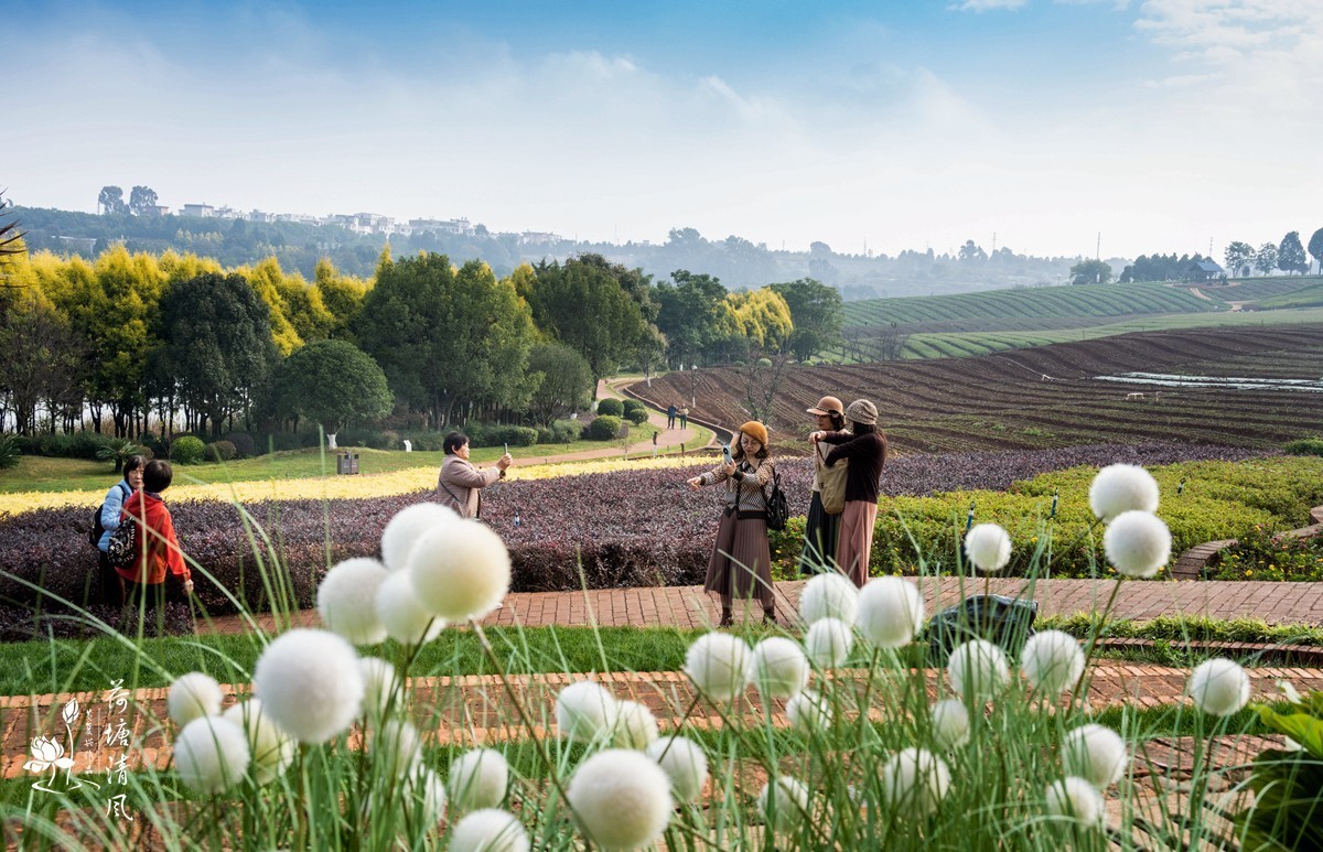 云南，弥勒市，东风韵景区图片。