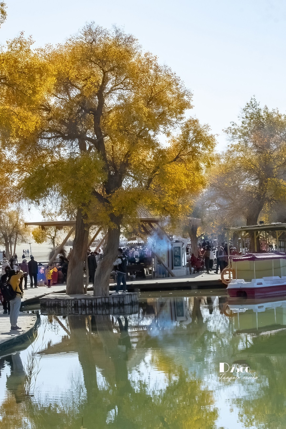 南疆行——罗布人村寨的秋（2）