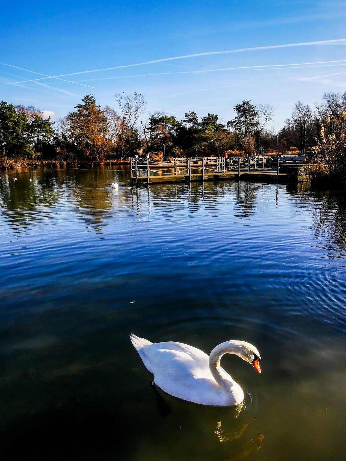 湖光水色（瑞士巴塞尔）