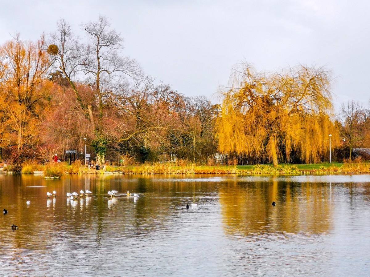 湖光水色（瑞士巴塞尔）