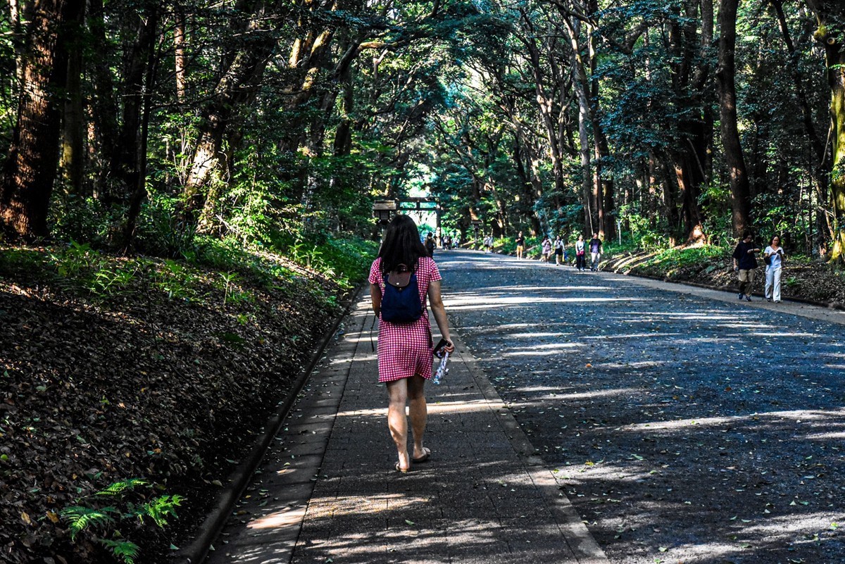 明治花园（日本东京）