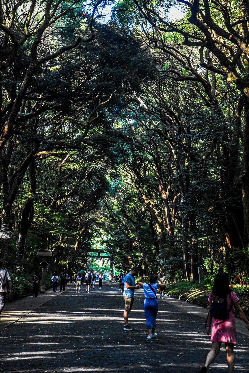 明治花园（日本东京）