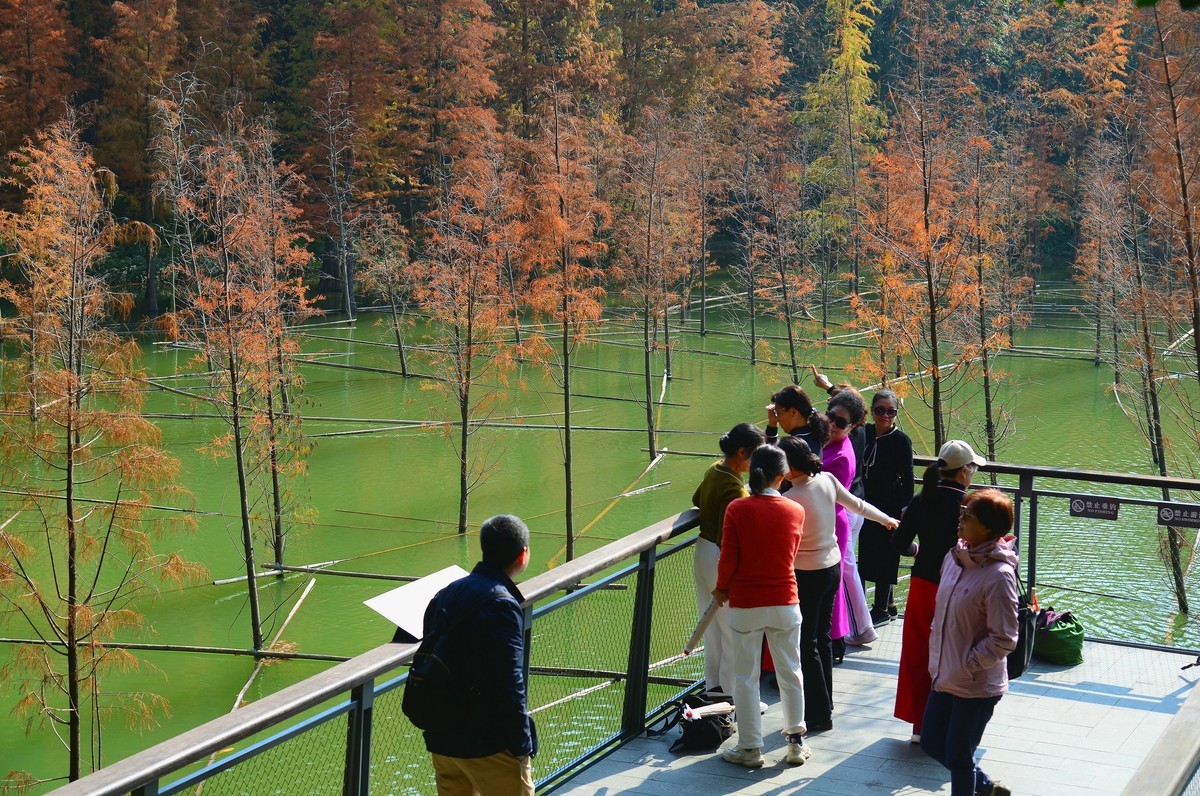 公园里的人气。