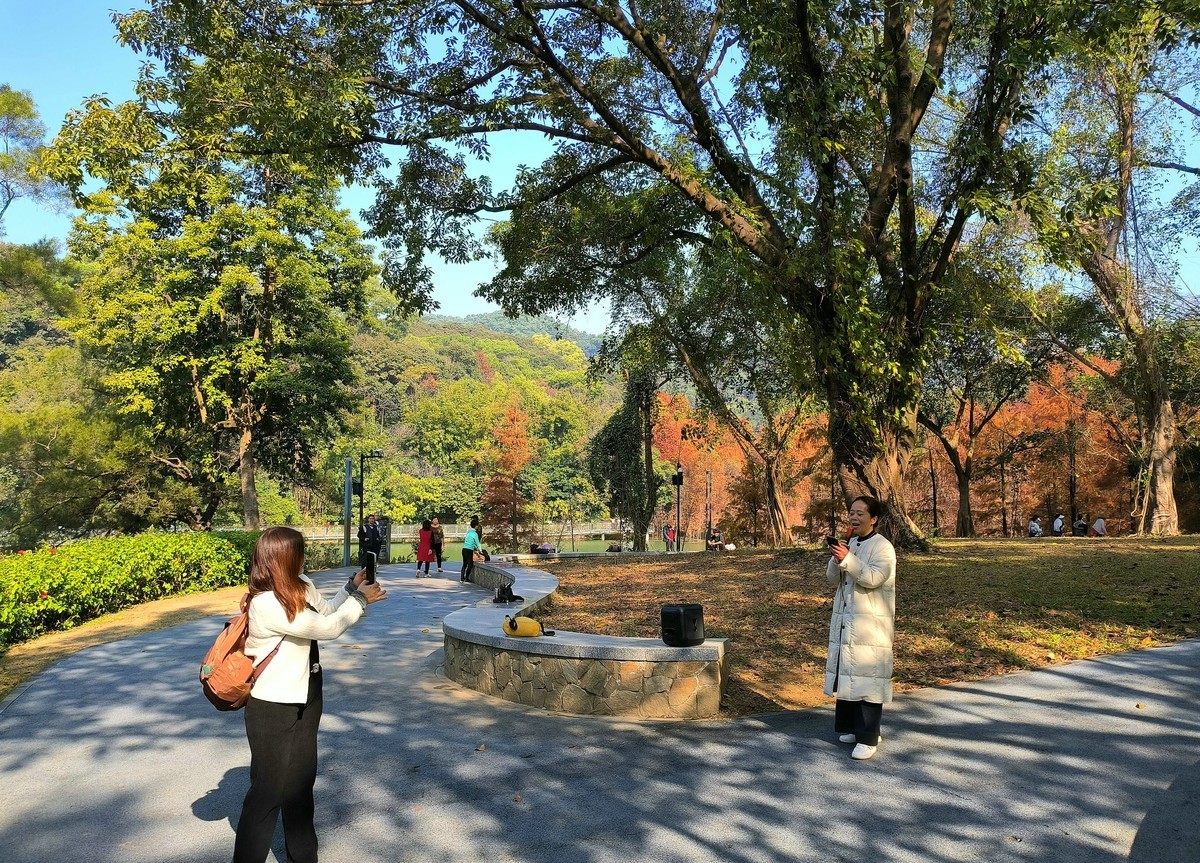 公园里的人气。