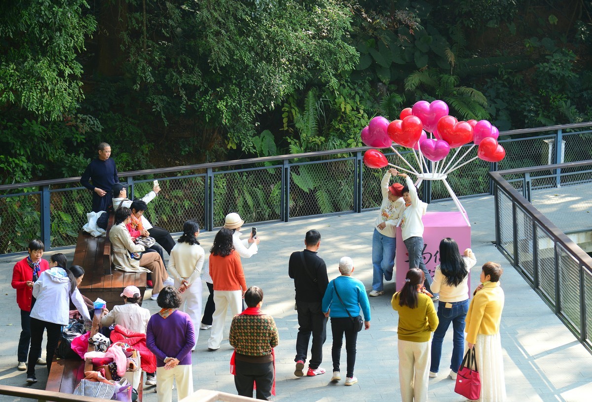 公园里的人气。