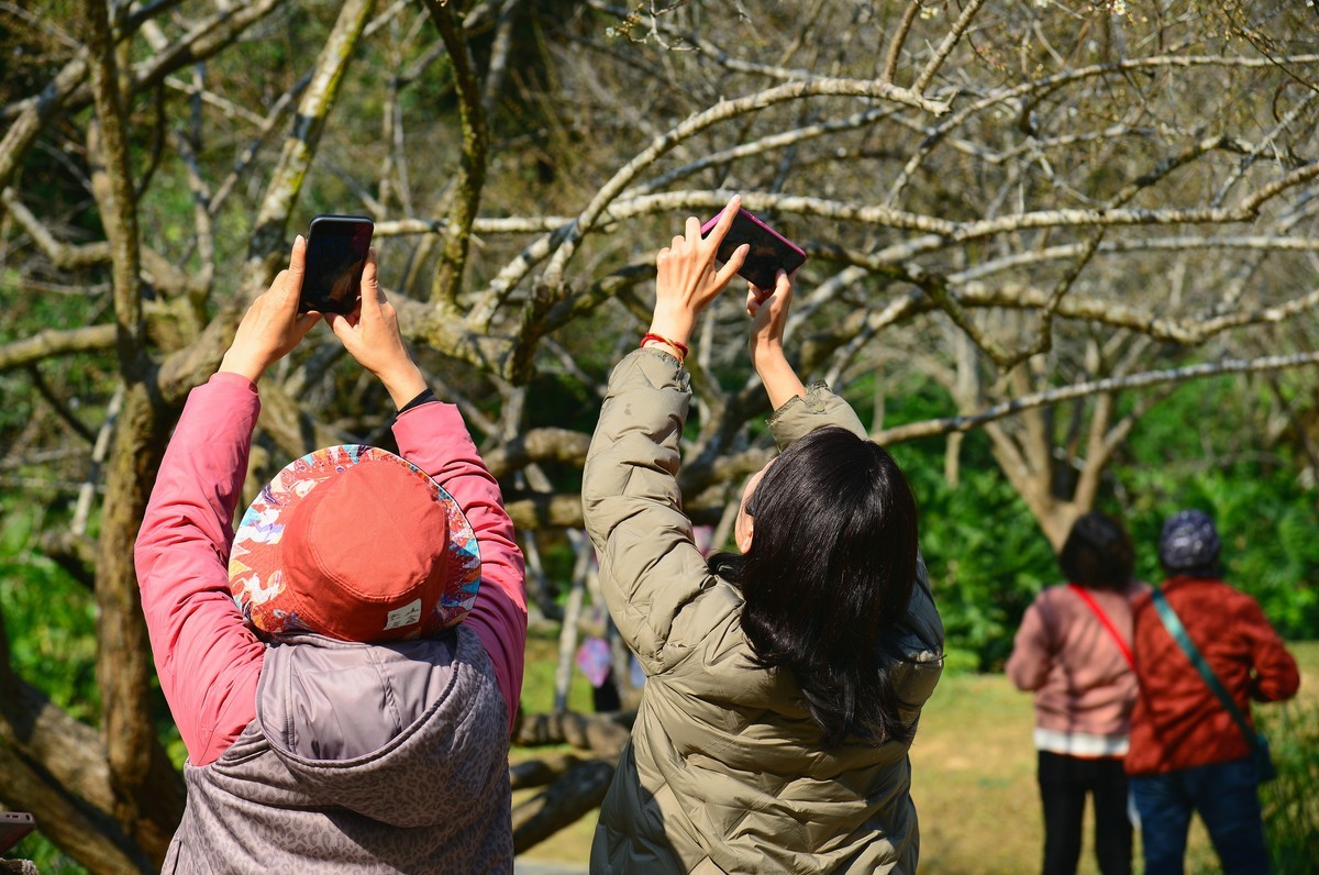 公园里的人气。
