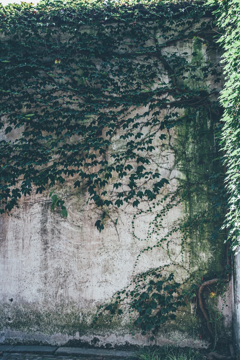 乌镇-（纪念使用过的佳能28-70  2.8L）