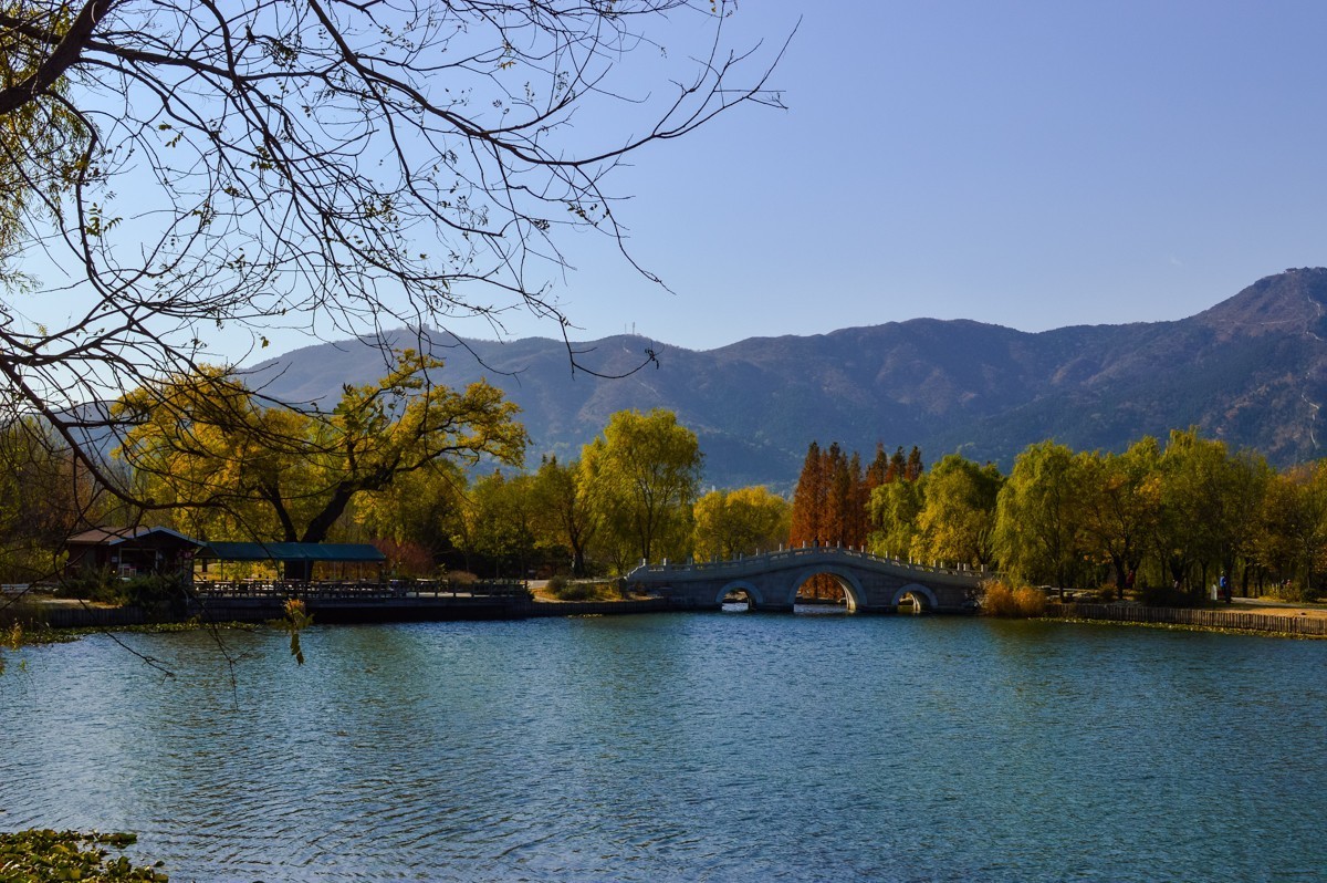 北京植物园游拍-137