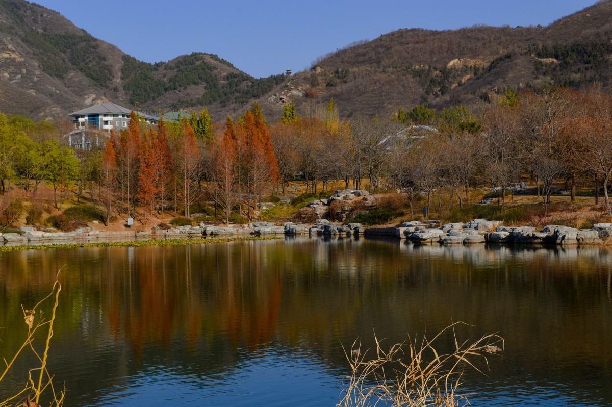 北京植物园游拍-137