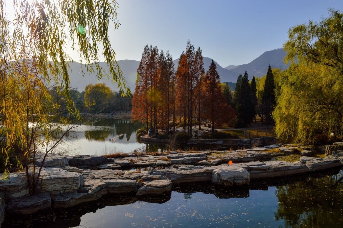 北京植物园游拍-137