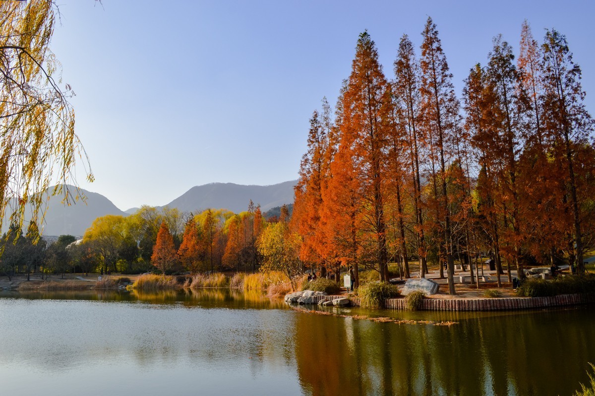 北京植物园游拍-137