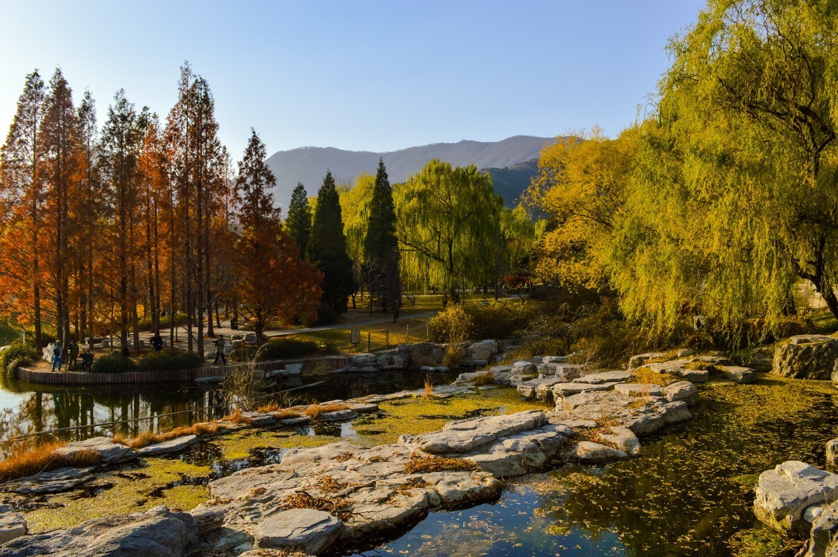 北京植物园游拍-137