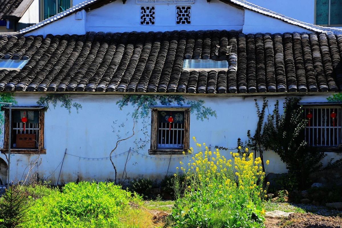 温州七都岛樟里村(5)