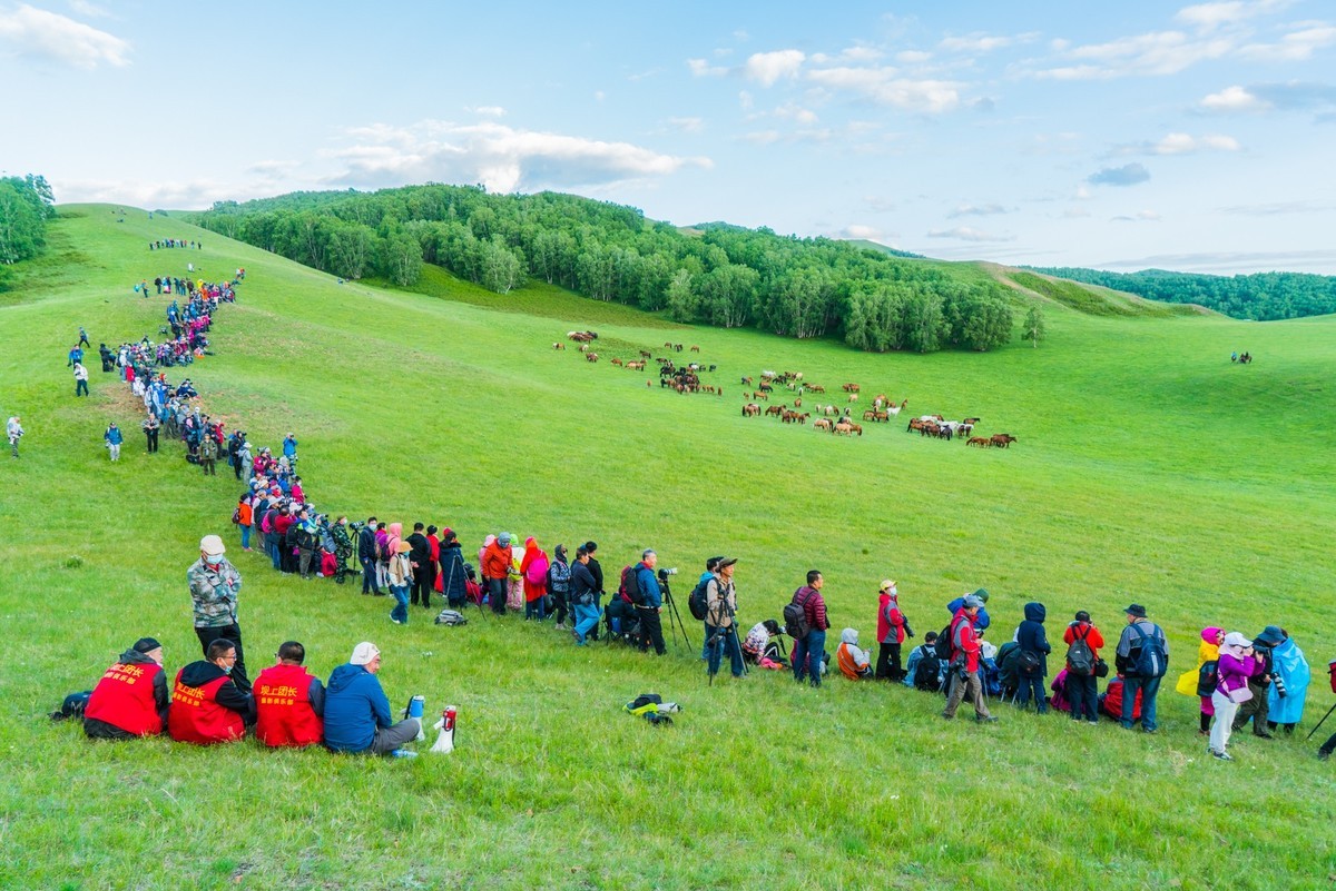 21.6 夏日的草原（二十三）------拍摄马群的人们