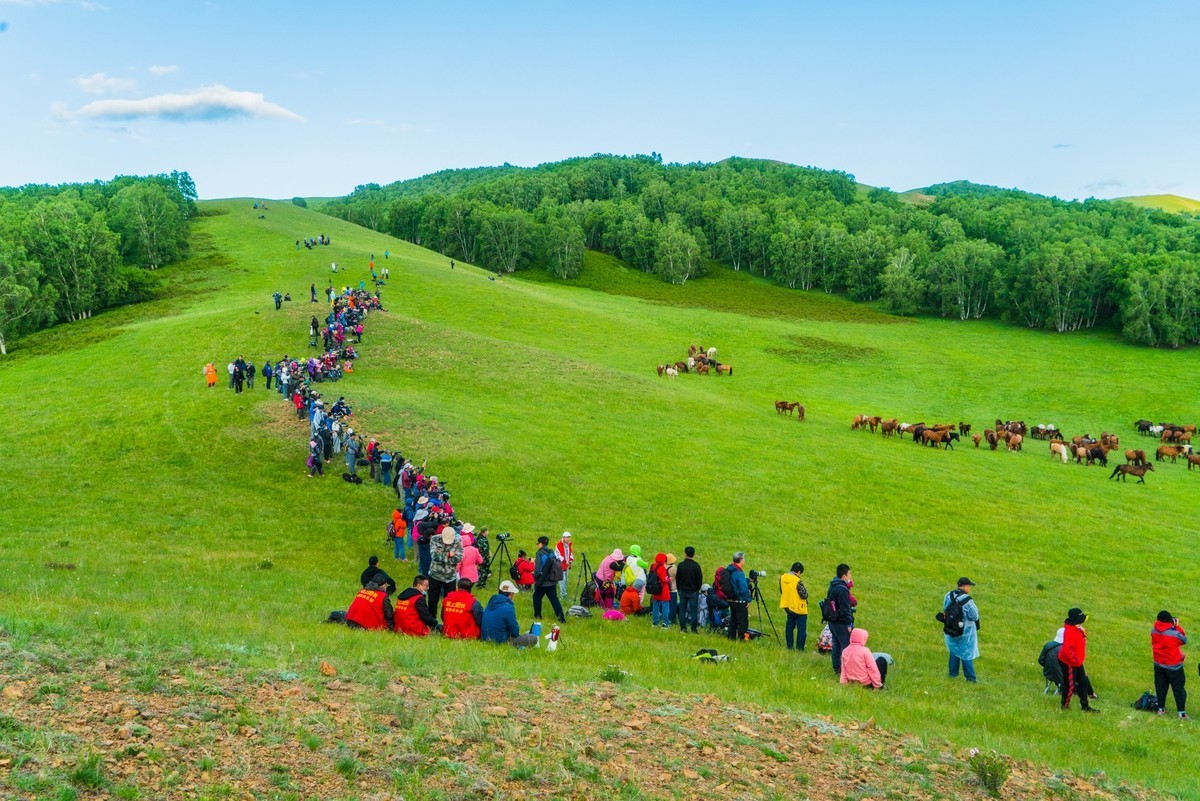 21.6 夏日的草原（二十三）------拍摄马群的人们