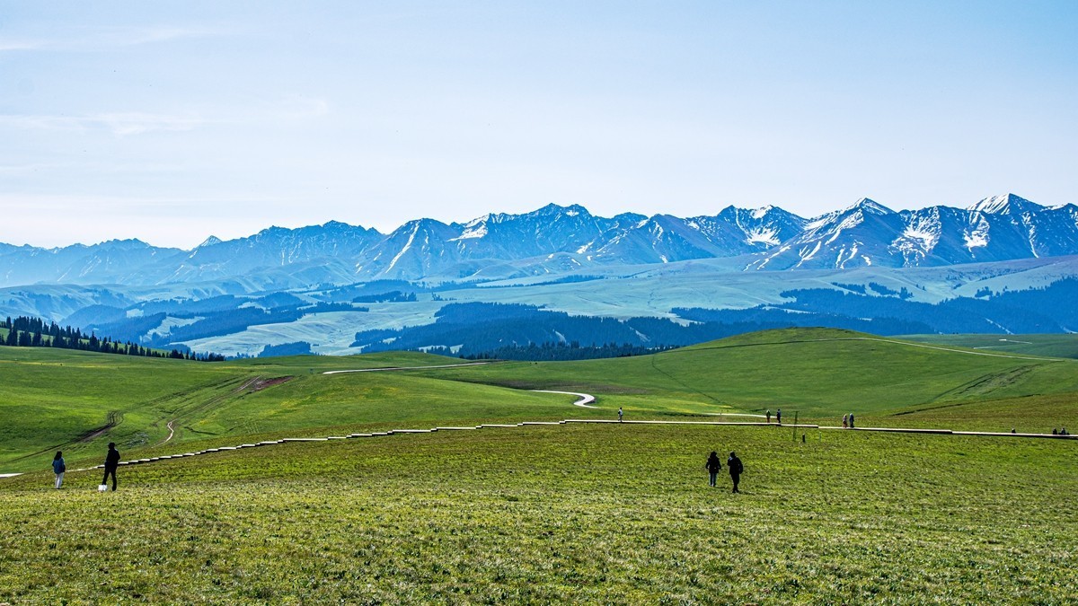 新疆行游--喀拉峻草原【2】    贺山水勇哥荣任合肥星空(中国)版主