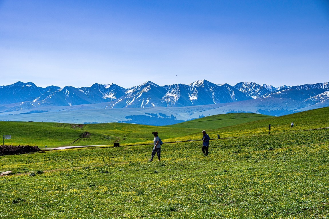 新疆行游--喀拉峻草原【2】    贺山水勇哥荣任合肥星空(中国)版主