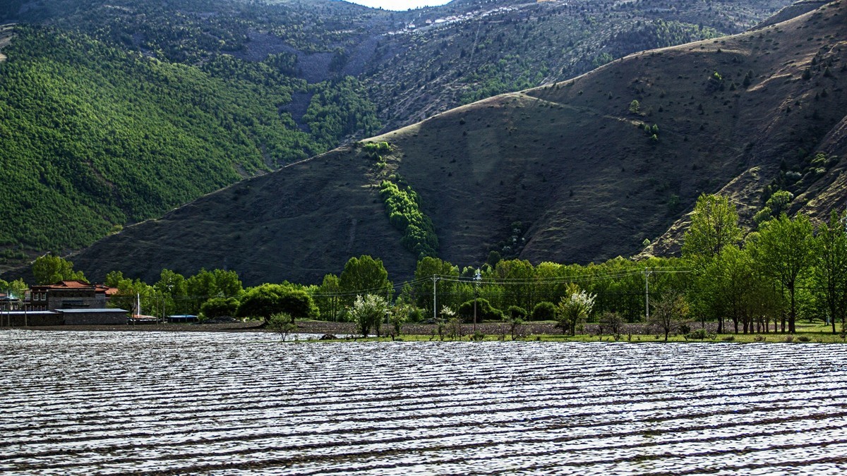 川西高原行摄--路拍【10】