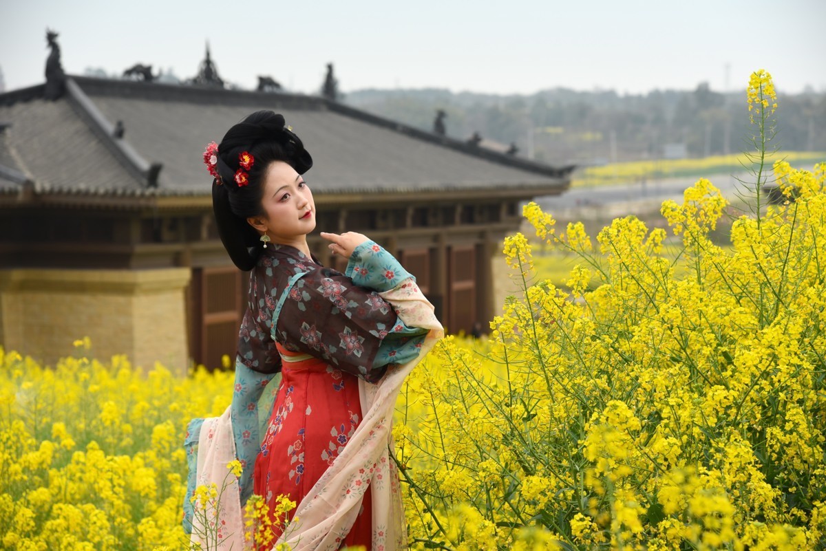 油菜花海——双流广都博物馆瞿上田园拍摄