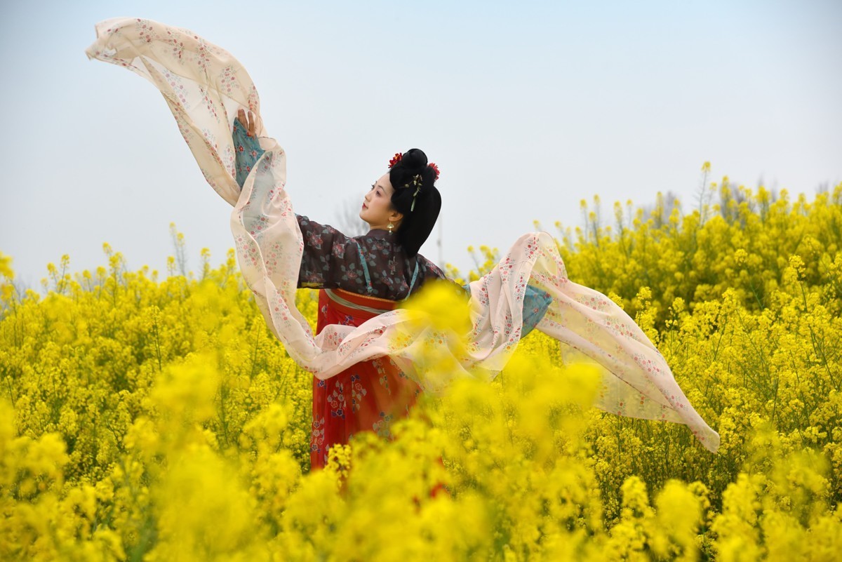 油菜花海——双流广都博物馆瞿上田园拍摄