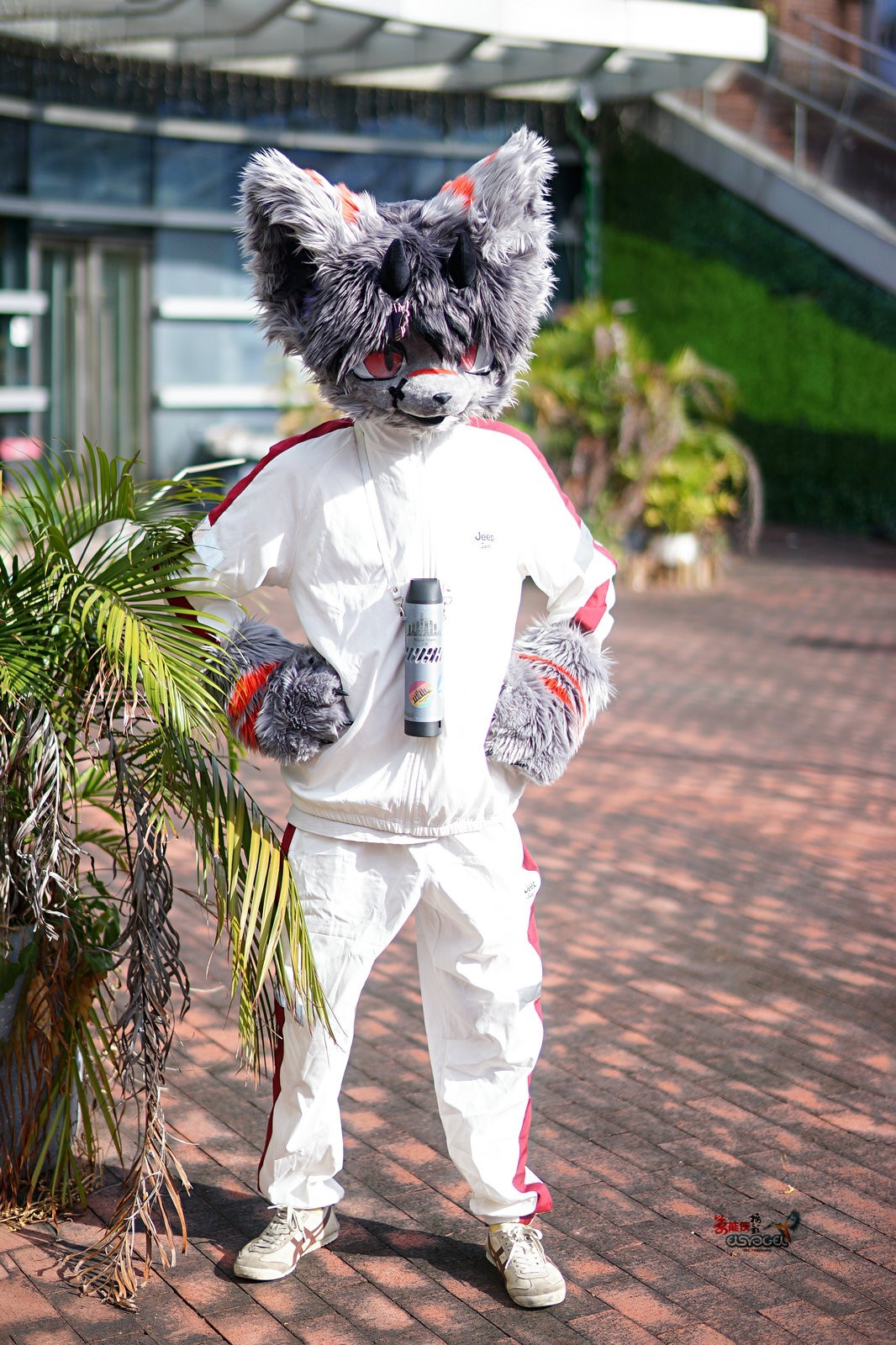 【可爱毛绒男孩】---浩浩