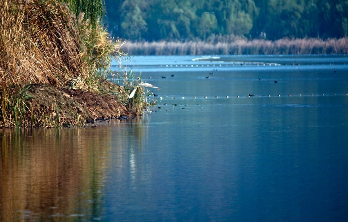 随拍——华山湖风光