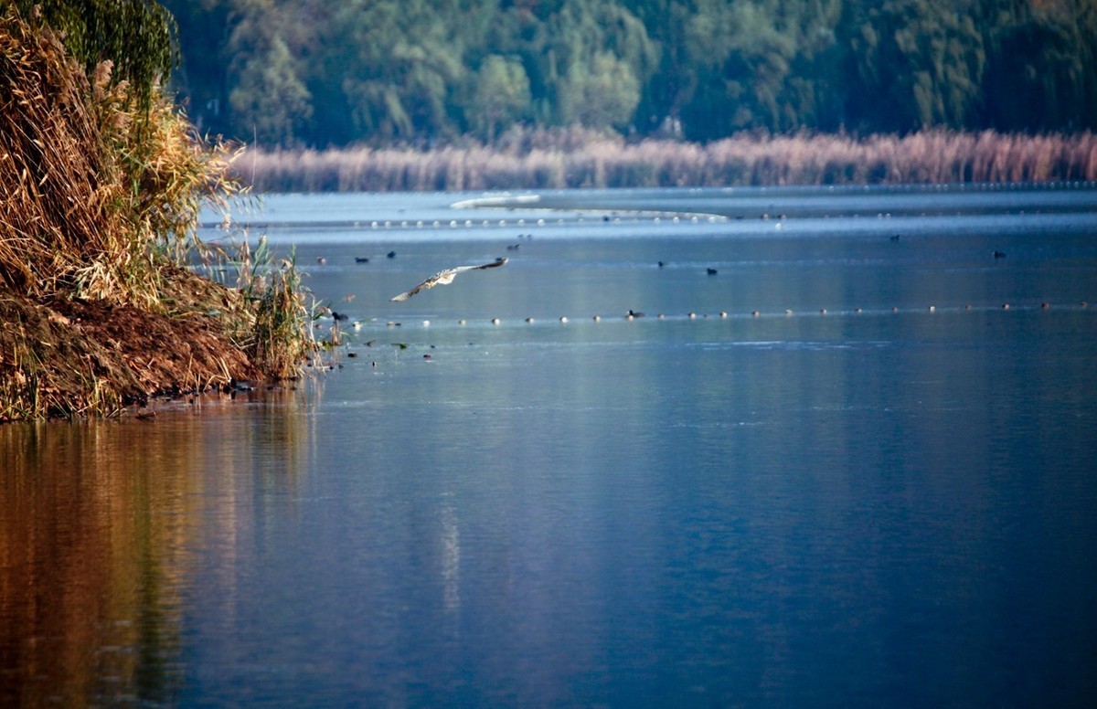 随拍——华山湖风光