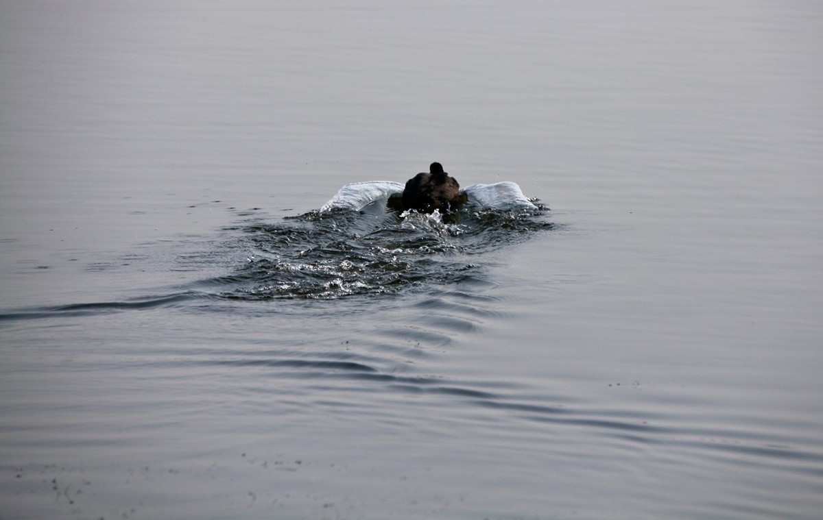 随拍——华山湖风光
