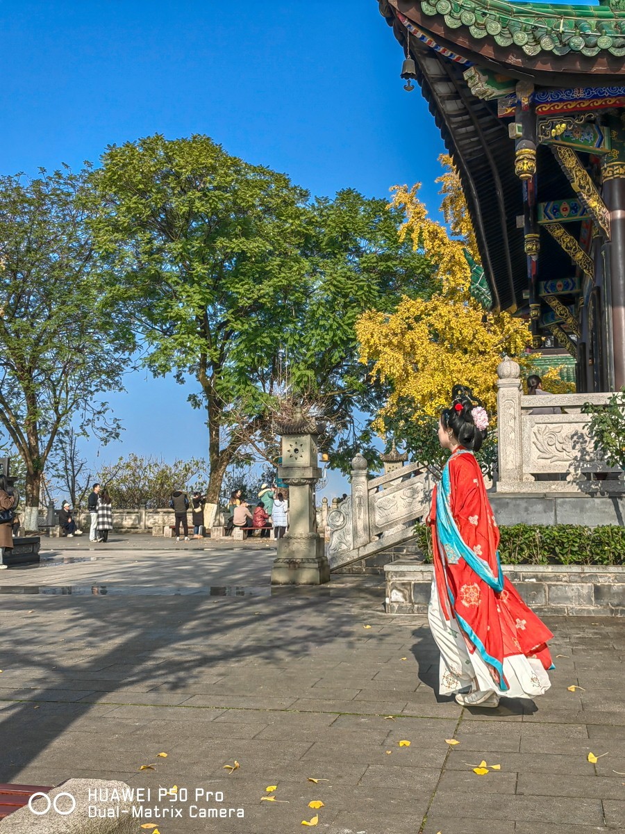 外出随拍（续276）.