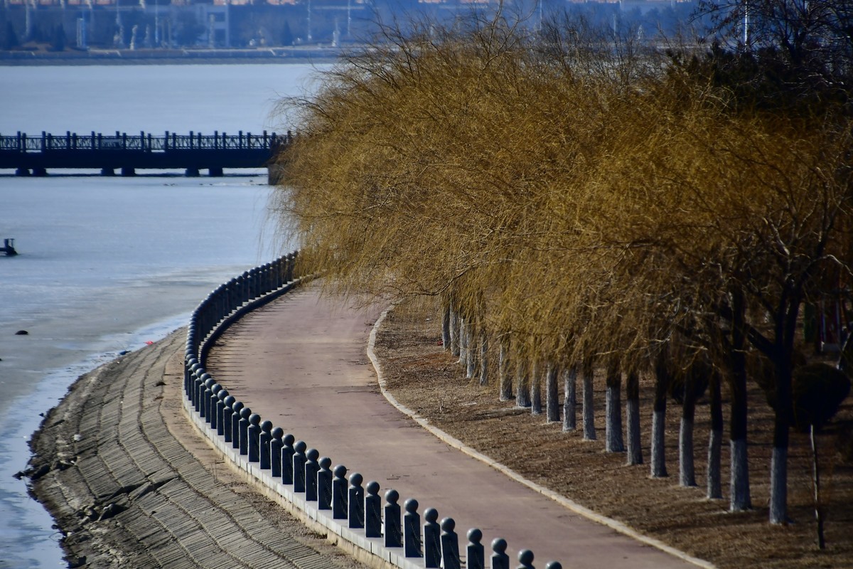 明湖岸畔春风拂面