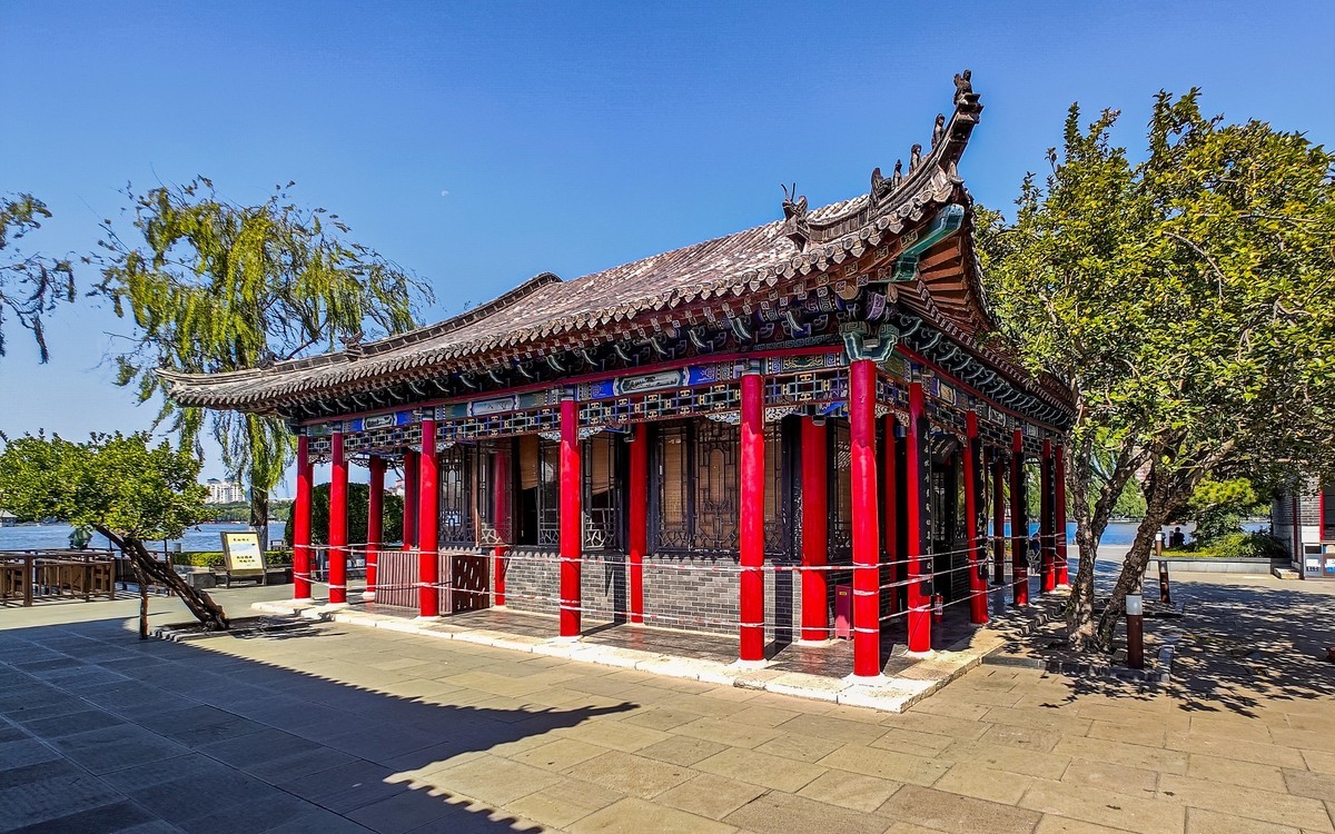 手机游拍20241112 《59》