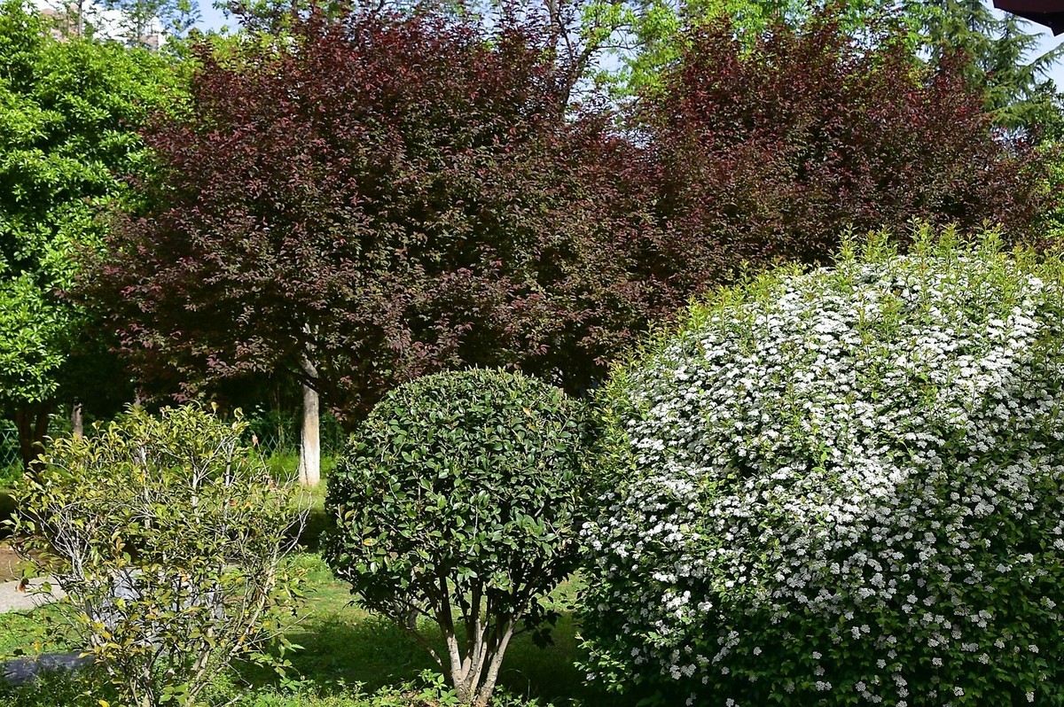 武汉堤角公园---请假贴