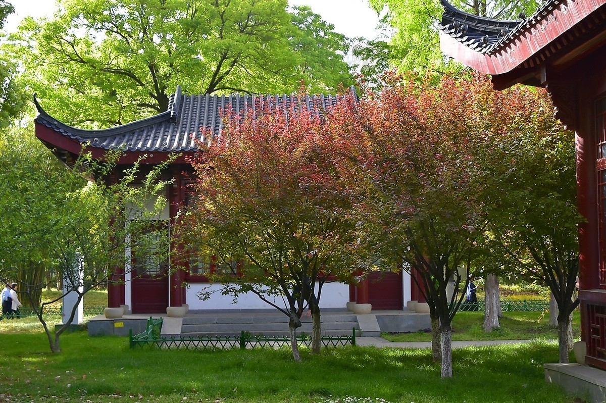 武汉堤角公园---请假贴