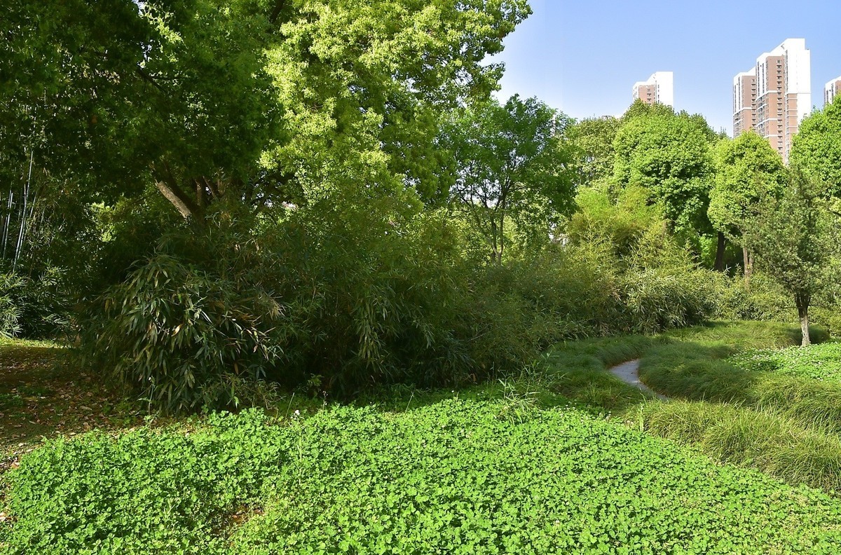 武汉堤角公园---请假贴