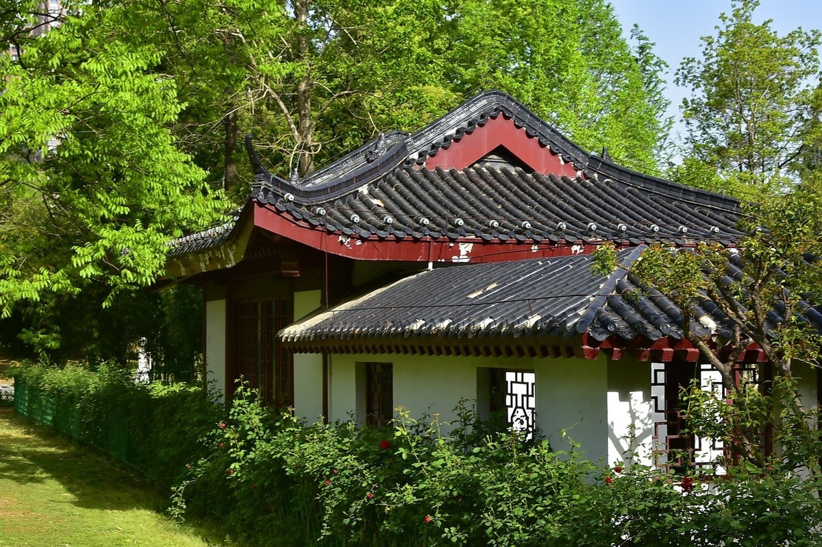 武汉堤角公园---请假贴