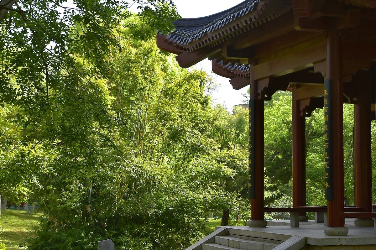 武汉堤角公园---请假贴