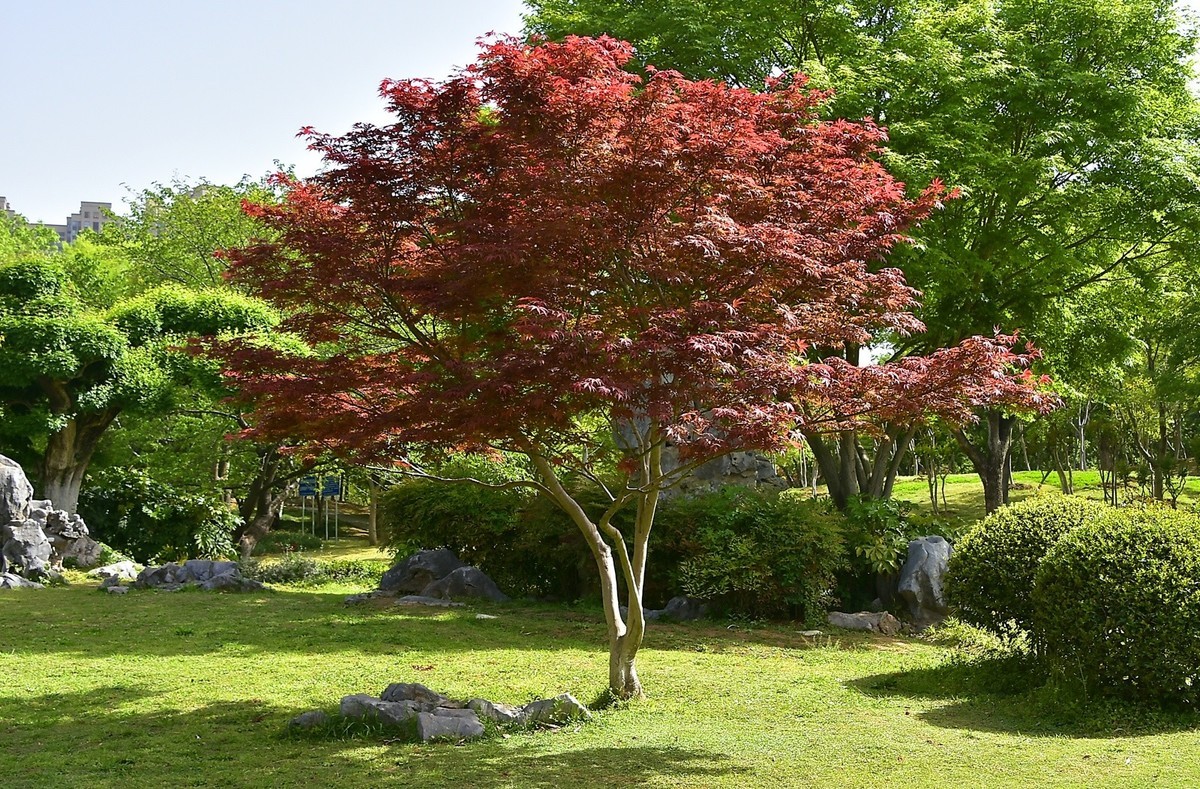 武汉堤角公园---请假贴