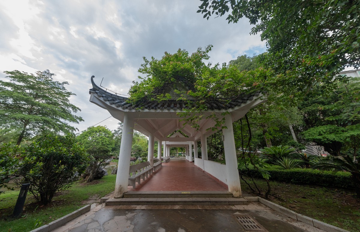 鱼眼镜头拍摄校正效果